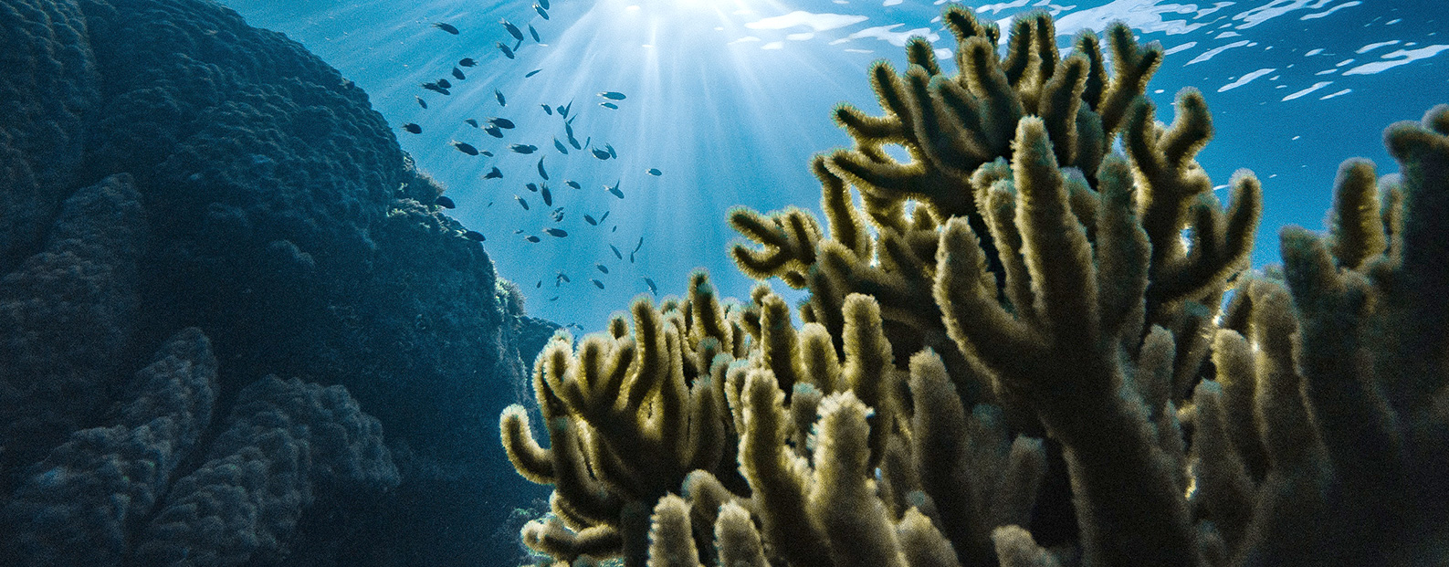 suncitygroup太阳集团中水回用、陶瓷膜、石墨烯膜、黑金膜公众号，，，，，，接待您扫码关注！